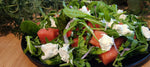 Watermelon Salad With Peppermint Gum Labneh