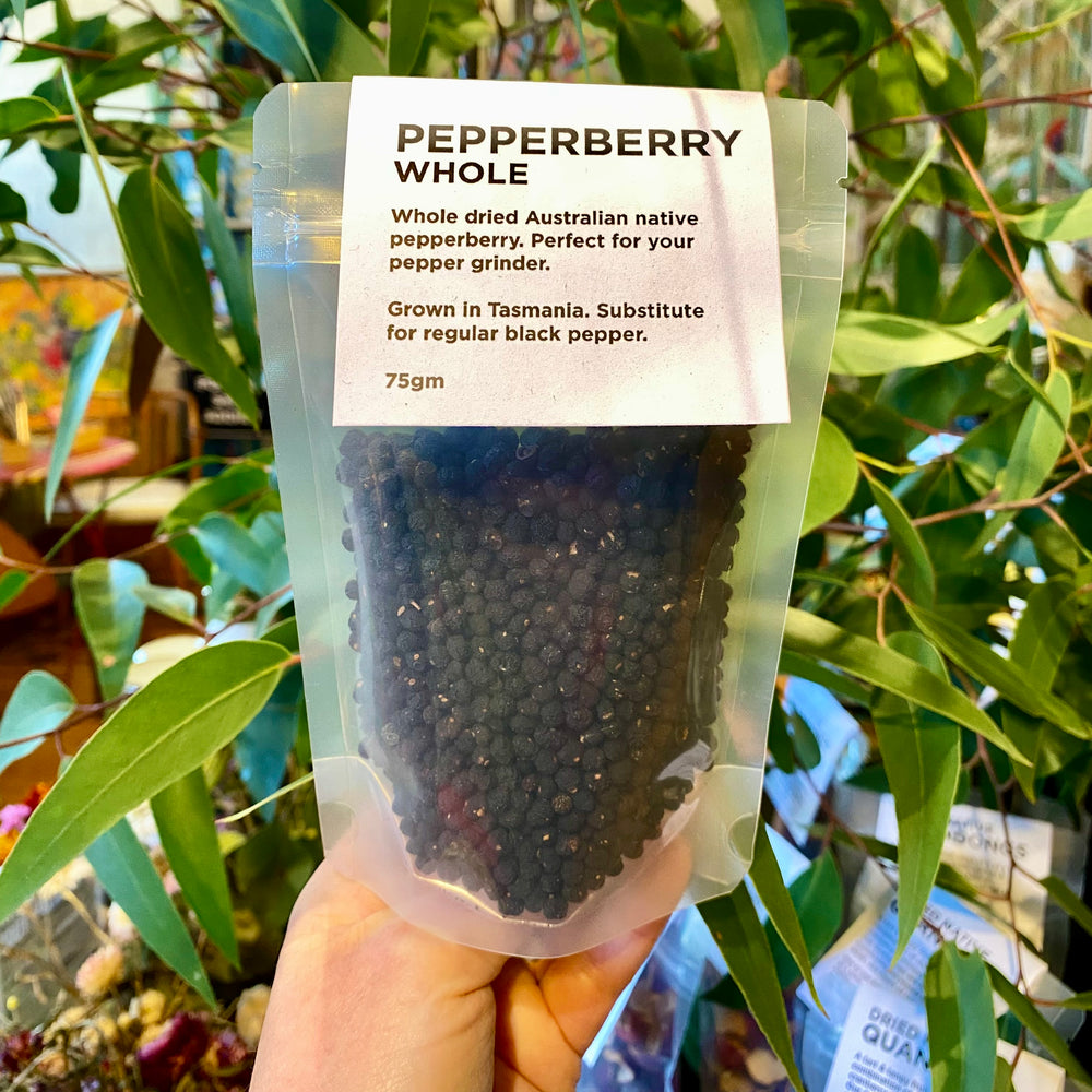 Whole Pepperberry 75gm (Tasmannia lanceolata) - Saltbush Kitchen